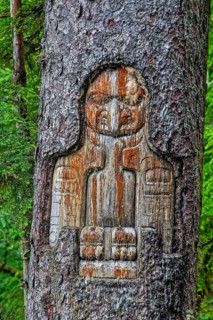 Indian drawings on a Sitka spruce, Tlingit people, art, Southeast Alaska, Alaska, USA, North