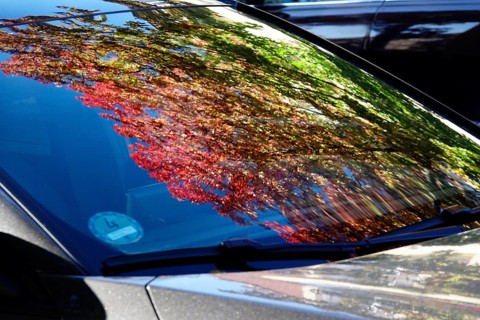 Trees with autumn colours reflected in a windscreen, October, Germany, Europe