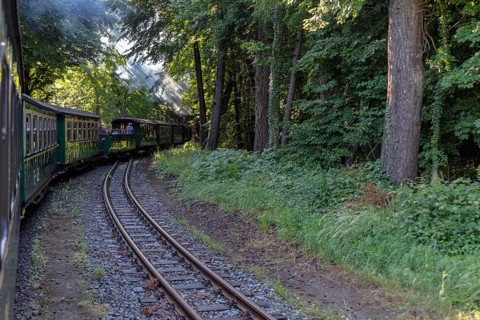 A train curves through a wooded area, sunlight breaks through the leaves, Rügen, Rasender Roland