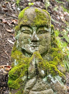 Close-up of moss-covered stone statue of rakan, the disciple of Buddha, Otagi Nenbutsu-ji temple,