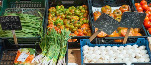 Fresh vegetables at a market with tomatoes, spring onions, green beans and price tags, San