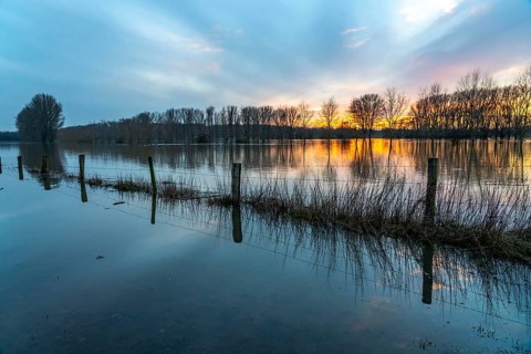 Bislicher Insel nature reserve, floodplain landscape on the Rhine, near Xanten, floods, flooded