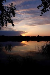 Upper Lusatian Heath and Pond Landscape, June, Saxony, Germany, Europe
