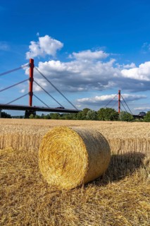 Grain field, harvested, straw bales, near Duisburg-Baerl, behind the motorway bridge of the A42