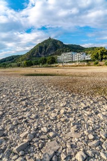 The Rhine at extremely low water, near Bad Honnef Rhöndorf, below the Drachenfels, Nonnenwerth