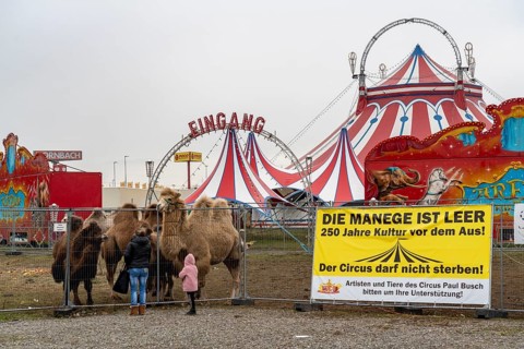 Circus Paul bush, shut down during the second corona lockdown, in Oberhausen, with posters pointing