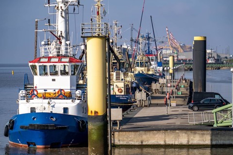 Harbour tugs, tugboats, bowser, at the pier at Columbuskaje, harbour cranes, historic Pingelturm,