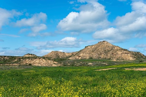 Spring landscape with flowering meadows and rocky elevations under a slightly cloudy blue sky,