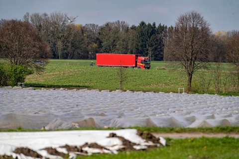 Asparagus fields, asparagus stems under foil, for faster growth, near Kirchhellen, district of