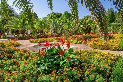 Palm garden in the historic spa gardens, the largest outdoor palm garden north of the Alps, Bad