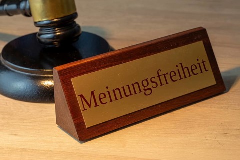 Symbolic image of freedom of opinion in Germany: close-up of a brass sign with the word FREEDOM OF
