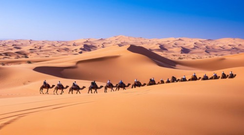 Caravan travelling over dunes in the desert, AI generated