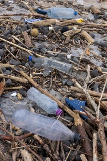 Symbolic image environmental pollution, plastic waste, rubbish, flotsam from a flood on the Neckar