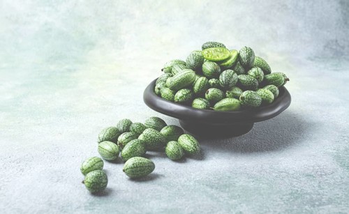 African cucumber, Mexican cucumber, mouse melon, Melothria