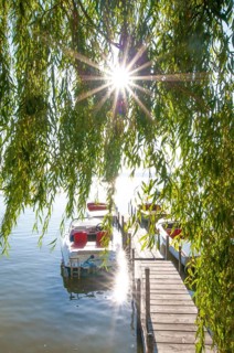 Jetty in Herrsching am Lake Ammer backlit, Bavaria, Germany, Europe