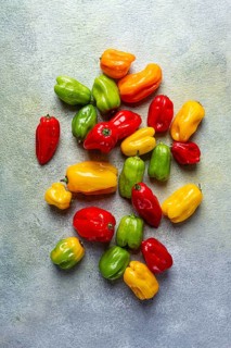 Habanero pepper, color mix, raw, vegetable, top view, no people