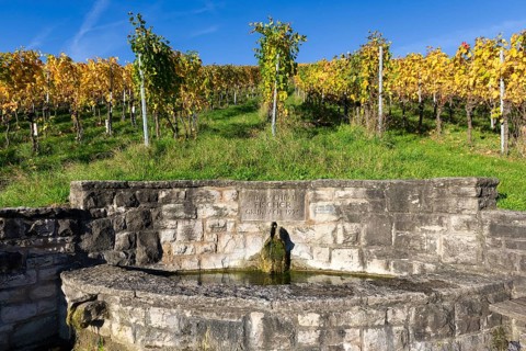 A stone fountain in front of an autumnal vineyard with yellow leaves under a clear blue sky,