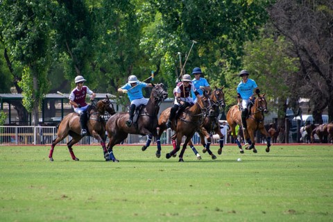 Scene from the 131st Argentine Open Polo Championship (Spanish: Campeonato Argentino Abierto de