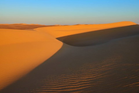 Sand dunes with long shadows in a desert landscape under a blue sky, Matruh, Great Sand Sea, Libyan