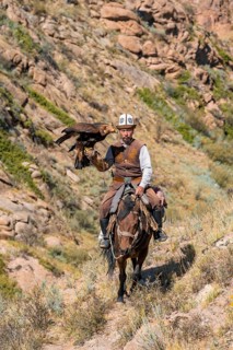 Traditional Kyrgyz eagle hunter with eagle in the mountains, hunting on horseback, near Kysyl-Suu,