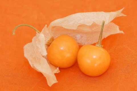 Cape gooseberry or Andean berry (Physalis peruviana), ripe fruit