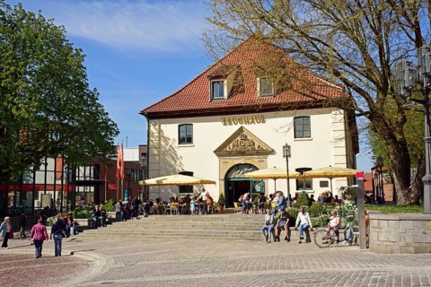 Europe, Germany, Lower Saxony, Stade, Hamburg metropolitan region, Hanseatic city, Old Town, Horse