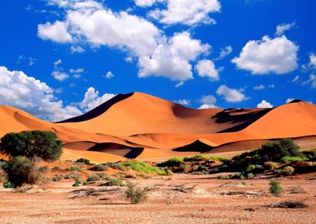 Sand dunes, Namibia, Sossusvlei, Sossusvlei, Namibia, Africa