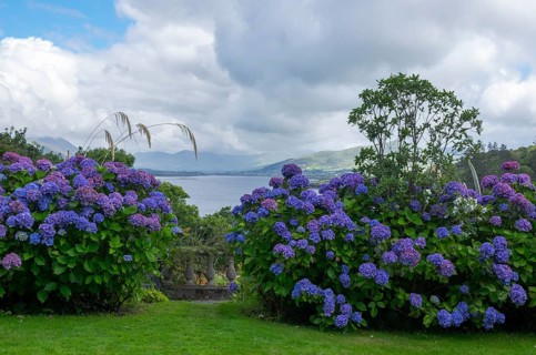 Garden of Glanleam House, Valentia Island, County Kerry, Ireland, Europe