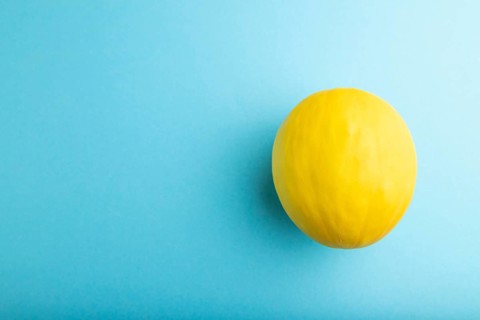 Ripe yellow melon on blue pastel background. Top view, flat lay, copy space. harvest, healthy,