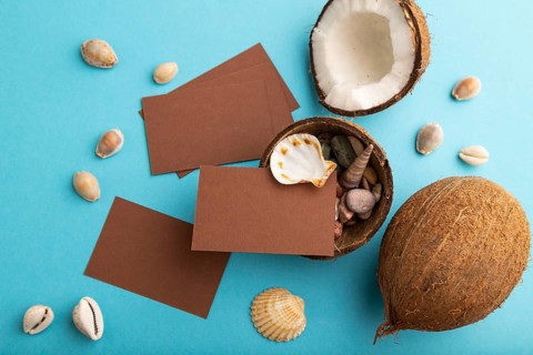 Brown paper business card with coconut and seashells on blue pastel background. Top view, flat lay,