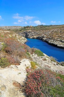 Limestone barrique vegetation Mgarr ix-Xini coastal inlet, island of Gozo, Malta, Europe