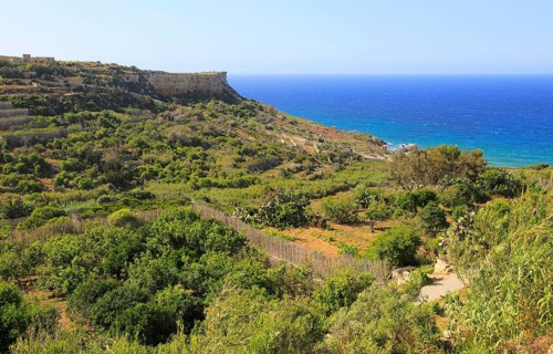 Coastal scenery San Blas bay, island of Gozo, Malta, Europe