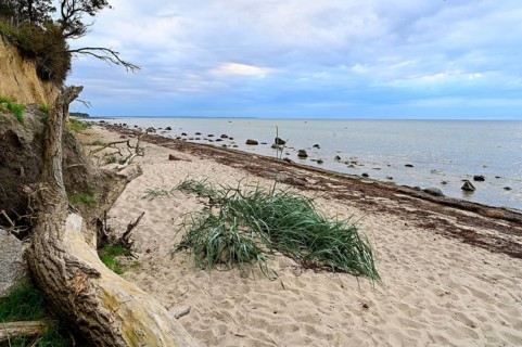 Natural beach with rocks on the steep coast of the island of Poel, Baltic Sea, Mecklenburg-Western