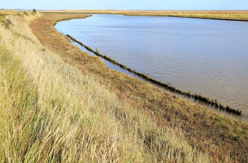 Landscape at high tide Barthorp's Creek, Hollesley Bay, near Shingle Street, Suffolk, England, UK