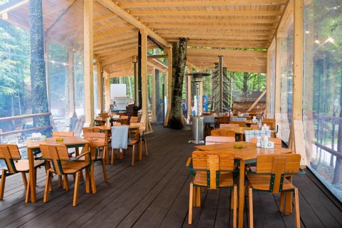 Restaurant with wooden furniture surrounded by peaceful forest and glass walls, Transfagarasan Tree