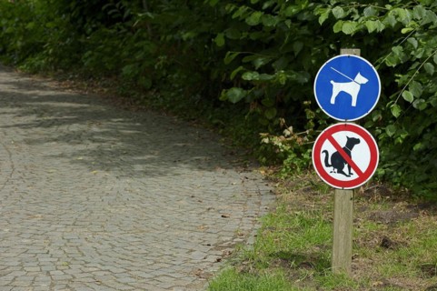Signs 'Dog excrement prohibited' and 'Dogs on a lead' in a park, North Rhine-Westphalia, Germany,
