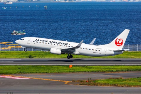 A Boeing 737-800 aircraft of Japan Airlines JAL with the registration JA338J at Tokyo Haneda