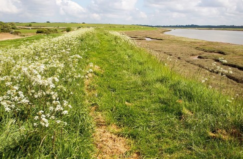 Pathway along flood defence sea wall bank, Butley Creek river, Suffolk, England, UK