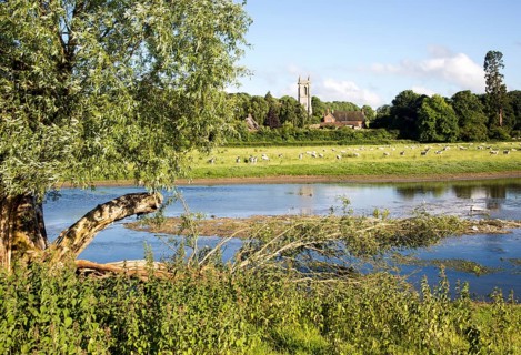 Sheep grazing in pasture by River Kennet, West Overton, Wiltshire, England, UK