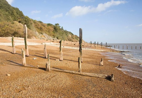 Old broken and abandoned wooden groynes on shingle beach, Bawdsey, Suffolk, England, United