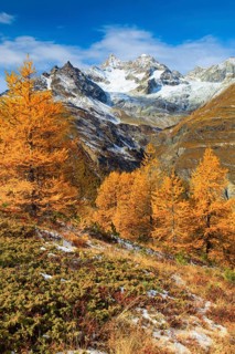 Swiss Alps, Obergabelhorn, 4063 m, Valais, Switzerland, Europe