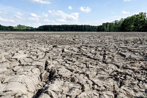 The bottom of a dried-up fish pond in Reckahn in Brandenburg looks like parched desert soil. The