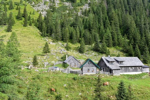 The alpine huts of the Kaltenbachalm on the Sölk Pass, Sölktal, Niedere Tauern, Styria, Austria,