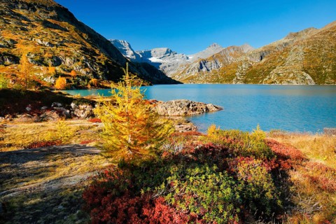 Autumn colours at Lac d'Emosson in the Valais mountains, Switzerland, Europe