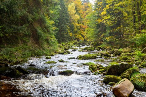 Kochel, river in the Giant Mountains, Poland, Europe
