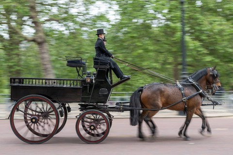 Horse-drawn carriage, Trooping the colour, military parade in June in honour of the British
