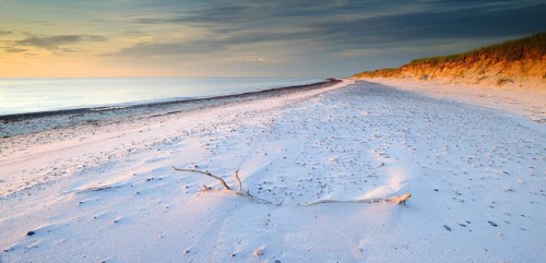 Pristine white beach with pebbles and dunes at Darßer Ort in the evening light, Weststrand, Darß