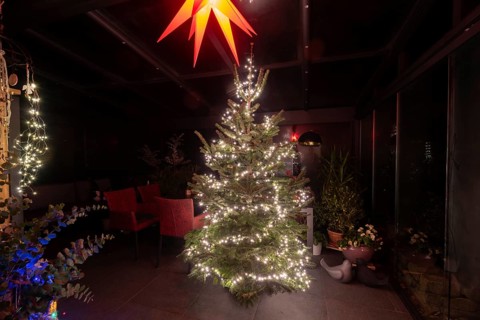 Christmas tree with fairy lights, above Herrnhut star, festive atmosphere, Germany, Europe