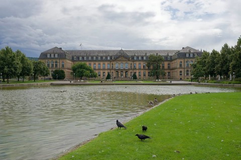 Castle pond in Stuttgart, municipal park, park, raven crow, new castle, Germany, Europe