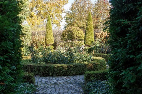 Cottage garden with topiary, hedges, trimmed bushes. Modern landscape design